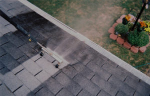 roof-cleaning-svc