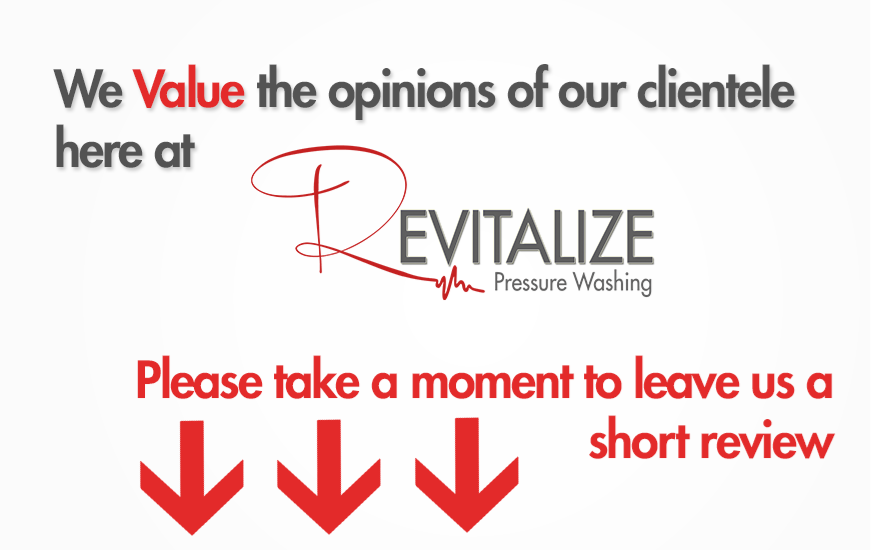 opinion-review2